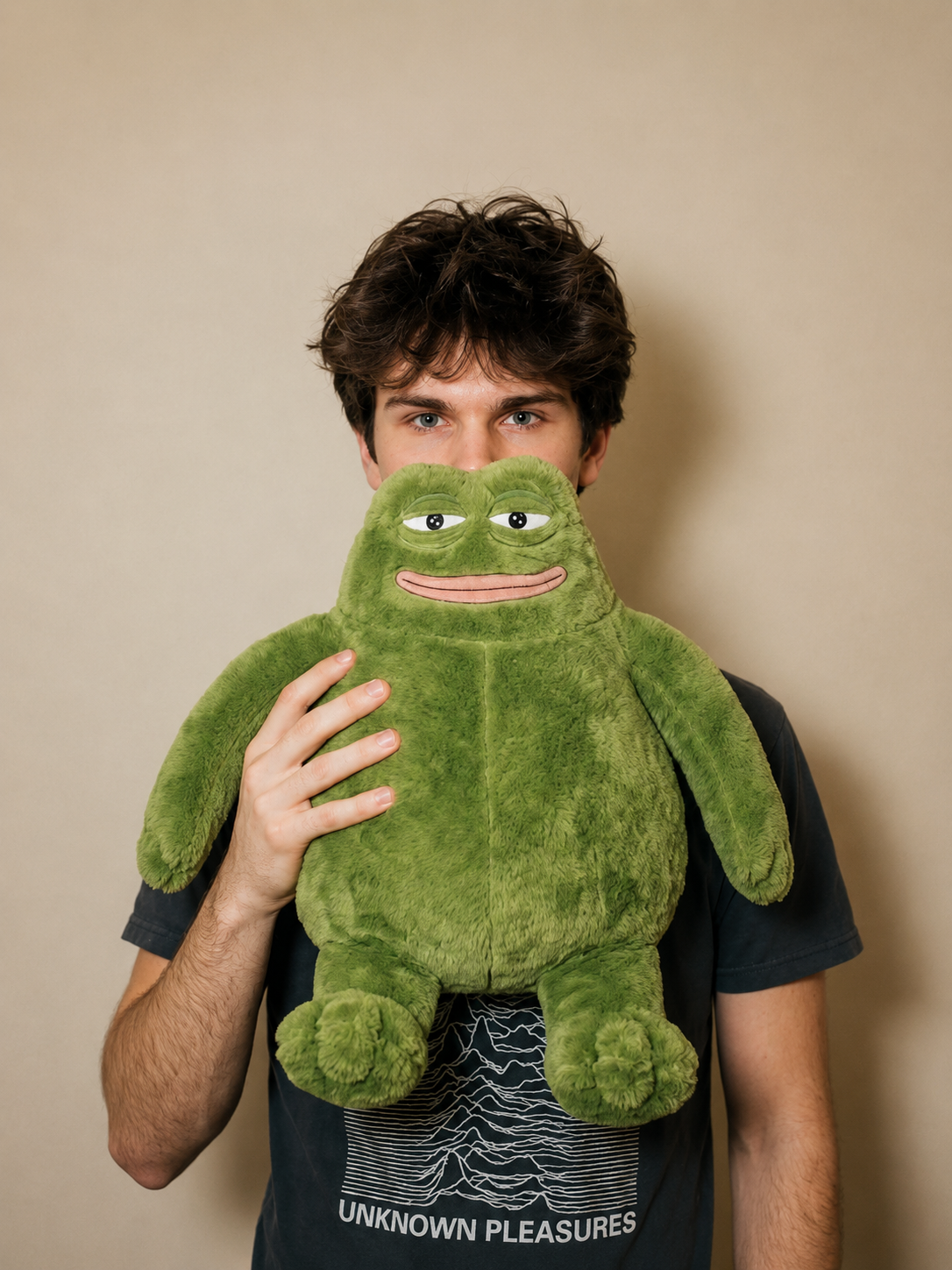 The frog oversized plush